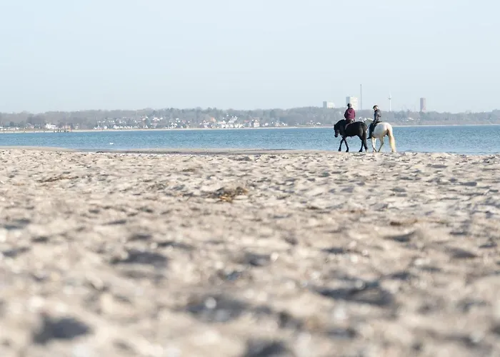Wohnpark Am Muehlenteich - 31 Lägenhet Timmendorfer Strand